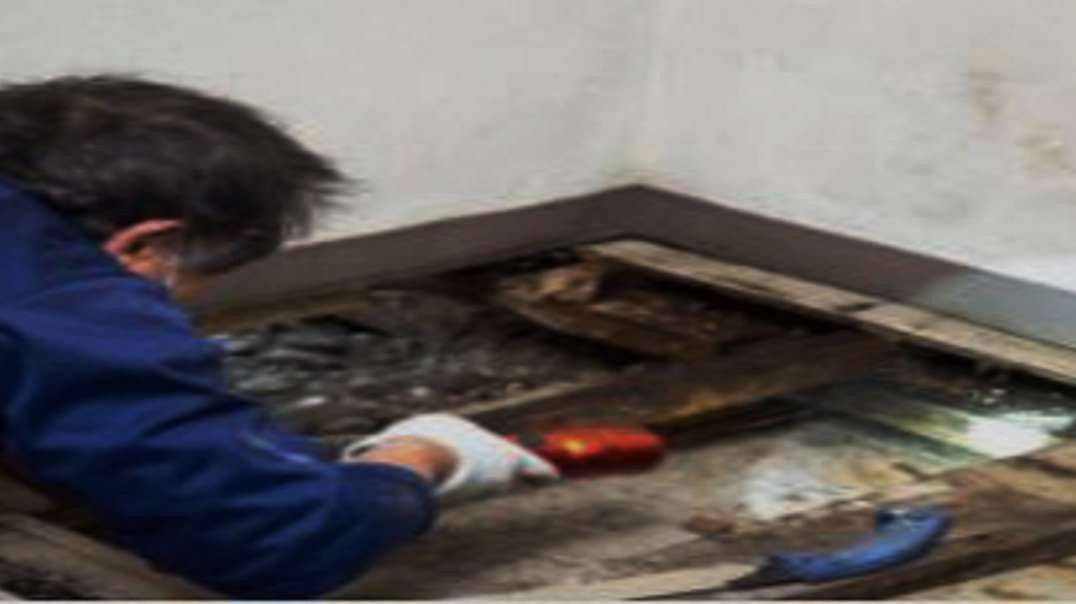 ALL US Mold Removal &amp;amp; Remediation in Encinitas, CA