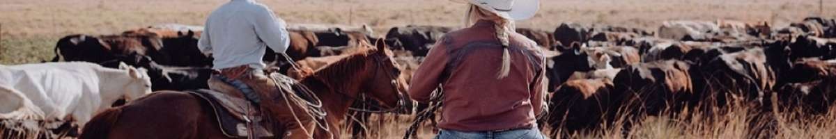 The TA Guest Ranch