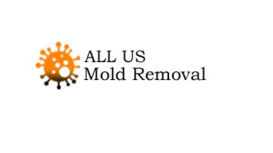 ALL US Mold Removal & Remediation in Newport News, VA