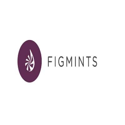 Figmints Digital Creative Marketing & Web Design