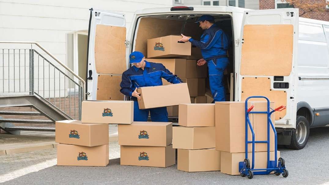 Ecoway Movers : Moving Company in Victoria, BC