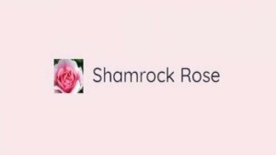 Shamrock Rose Treasures - Teddy Bear Plastic Safety Eyes in Ottawa, Ontario