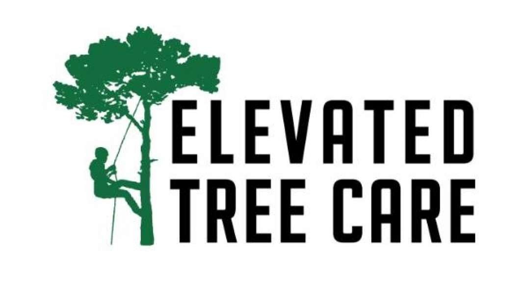 Elevated Tree Care - #1 Tree Removal in Pittsburgh, PA