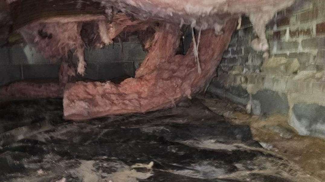 Triangle Reconstruction : Sealed Crawl Space in Cary, NC