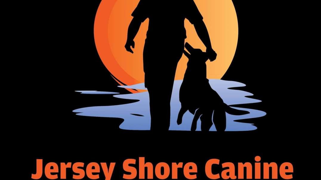 Jersey Shore Canine, LLC. - Dog Protection Training in Jersey Shore, NJ