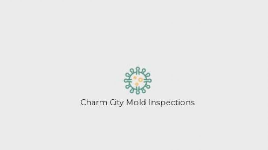 Charm City Mold Inspections in Baltimore, MD