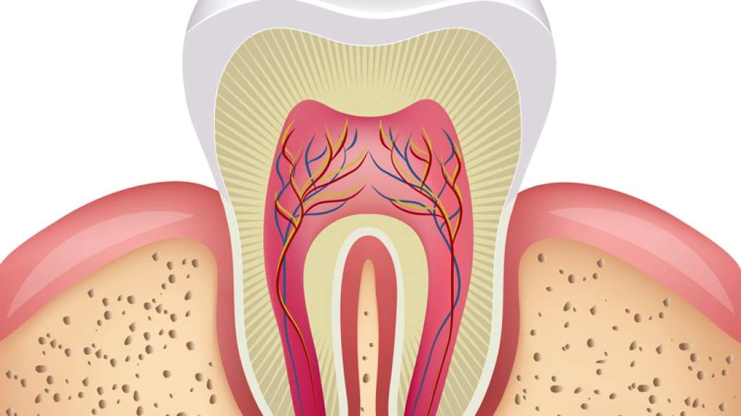 Axel Dental Studio : #1 Root Canal in Miami, FL | 33144