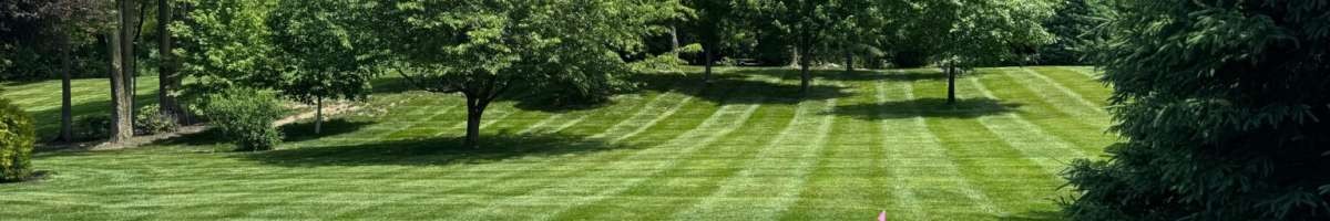 Best Lafayette Lawn Care 