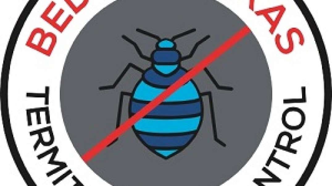 Bed Bug Termite & Pest Control in Katy, TX