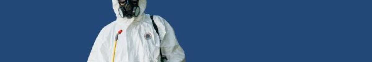 Bed Bug Texas Termite & Pest Control 