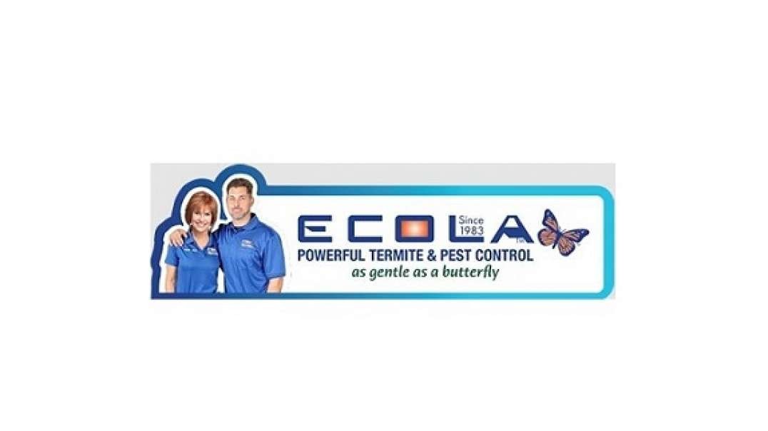 Ecola Termite - Best Exterminators in Los Angeles, CA