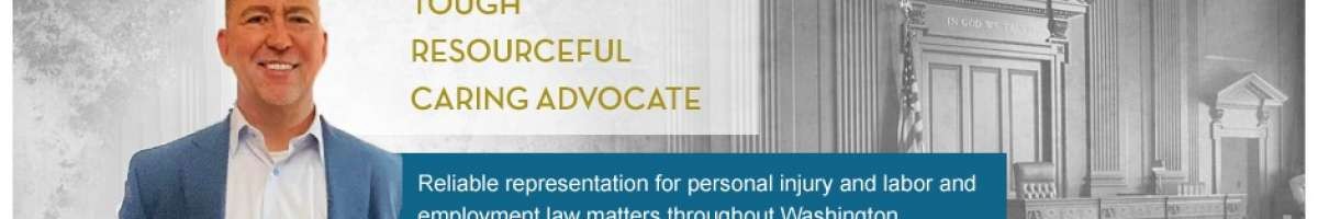 The Schauer Law Offices PLLC 