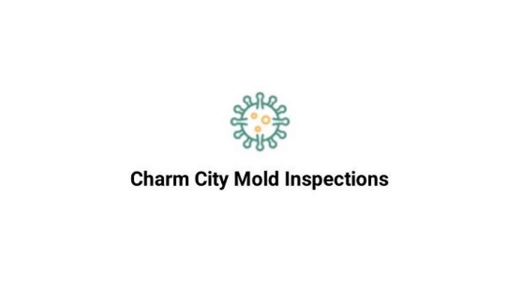 Charm City Mold Inspections - Mold Remediation in Baltimore, MD