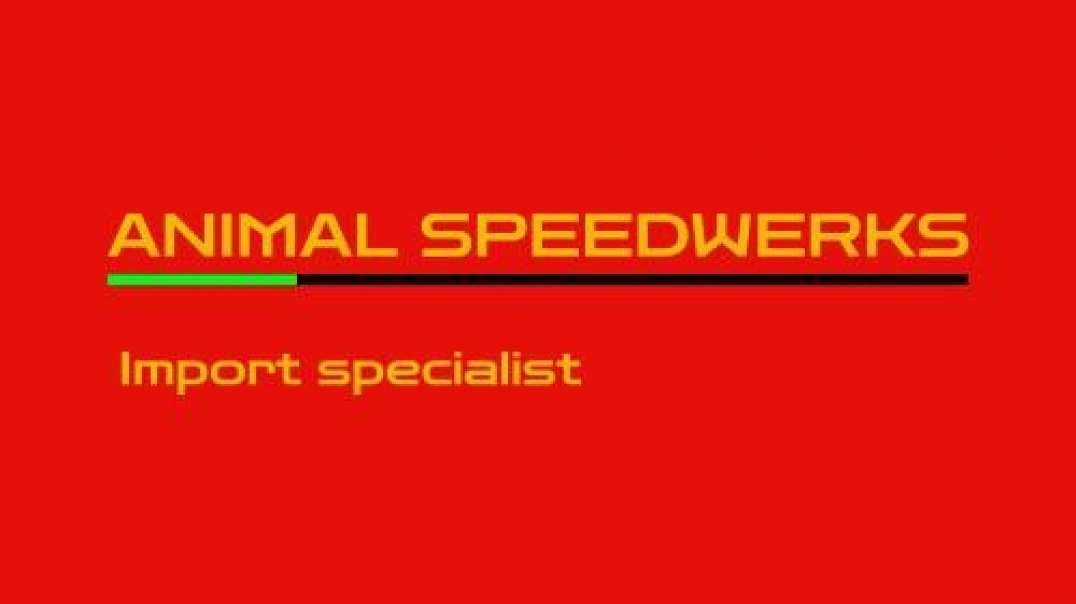 Animal Speedwerks - Auto Repair in Crossville, TN