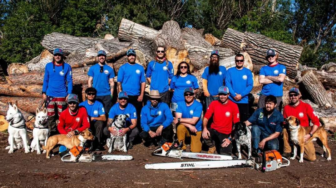 Patriot Tree Company INC. : Tree Services in Boulder, CO