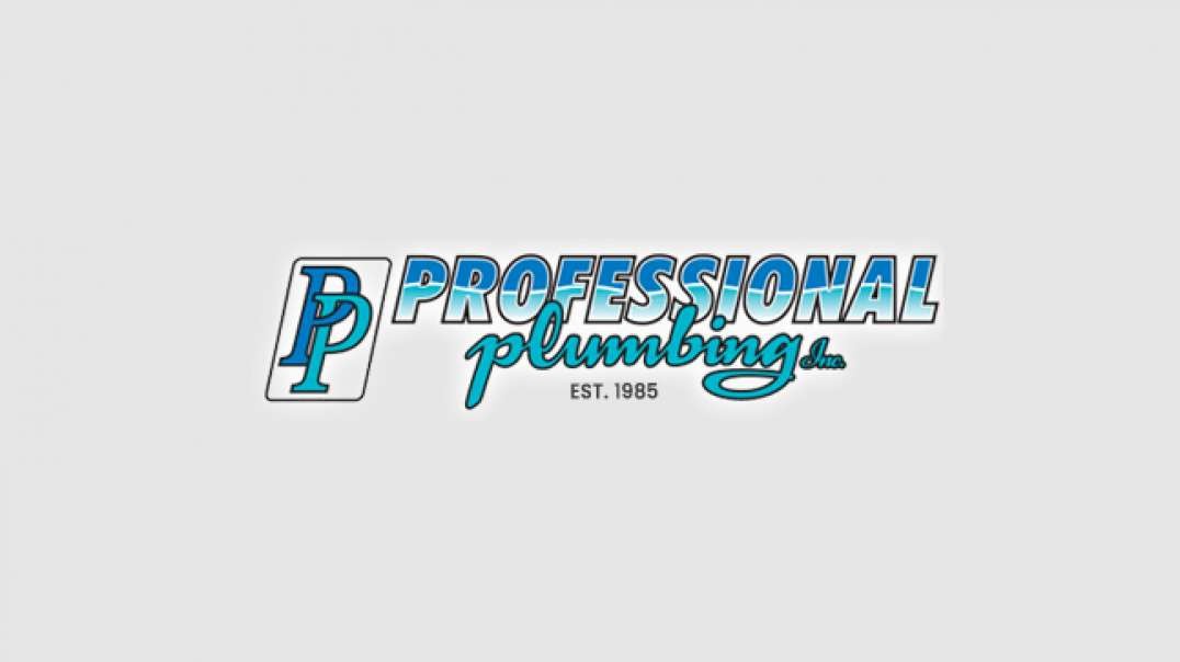 Professional Plumbing Inc. - Commercial Plumbing in Orange County, CA