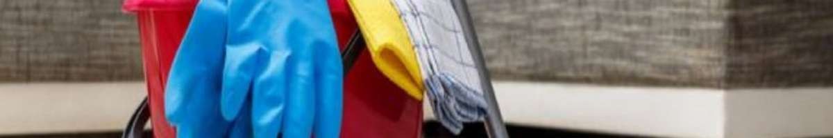 Bee-Dazzled Cleaning Service 