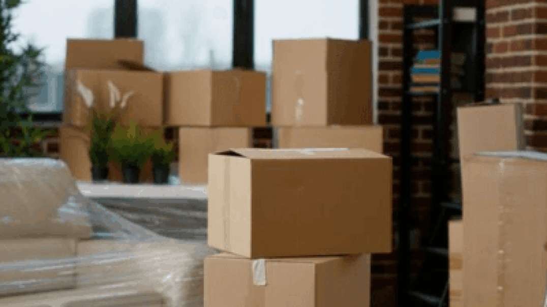 Pioneer Moving and Storage : Best Moving Company in Roy, UT