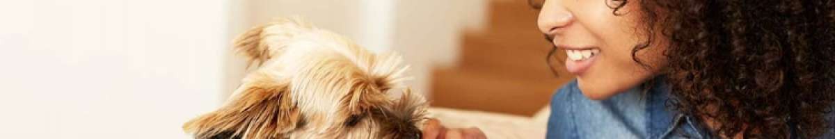 Happy Paws Home Care, Inc 