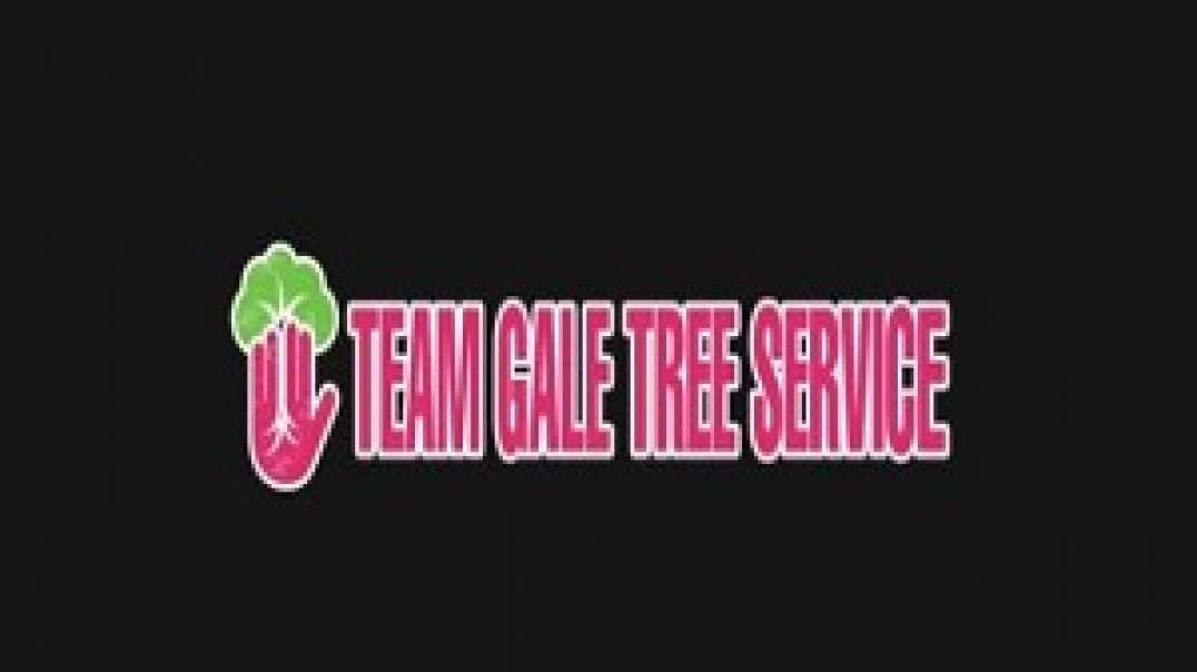 Team Gale Tree Service in Delran, NJ